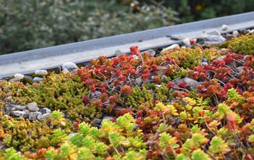 the cost of Blegbury green roof installation