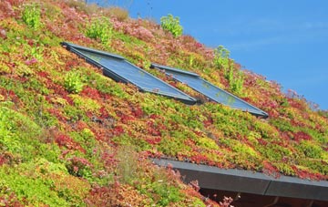 Blegbury living roof systems