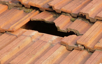 roof repair Blegbury, Devon